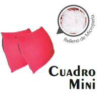 ALMOHADA CUADRO MINI (2 PIEZAS)