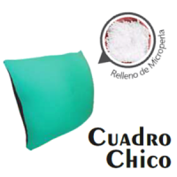 ALMOHADA CUADRO CHICO